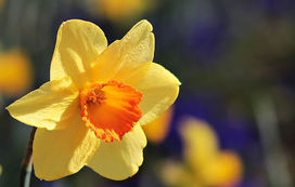Elternbrief - Ostern - Heute wie damals